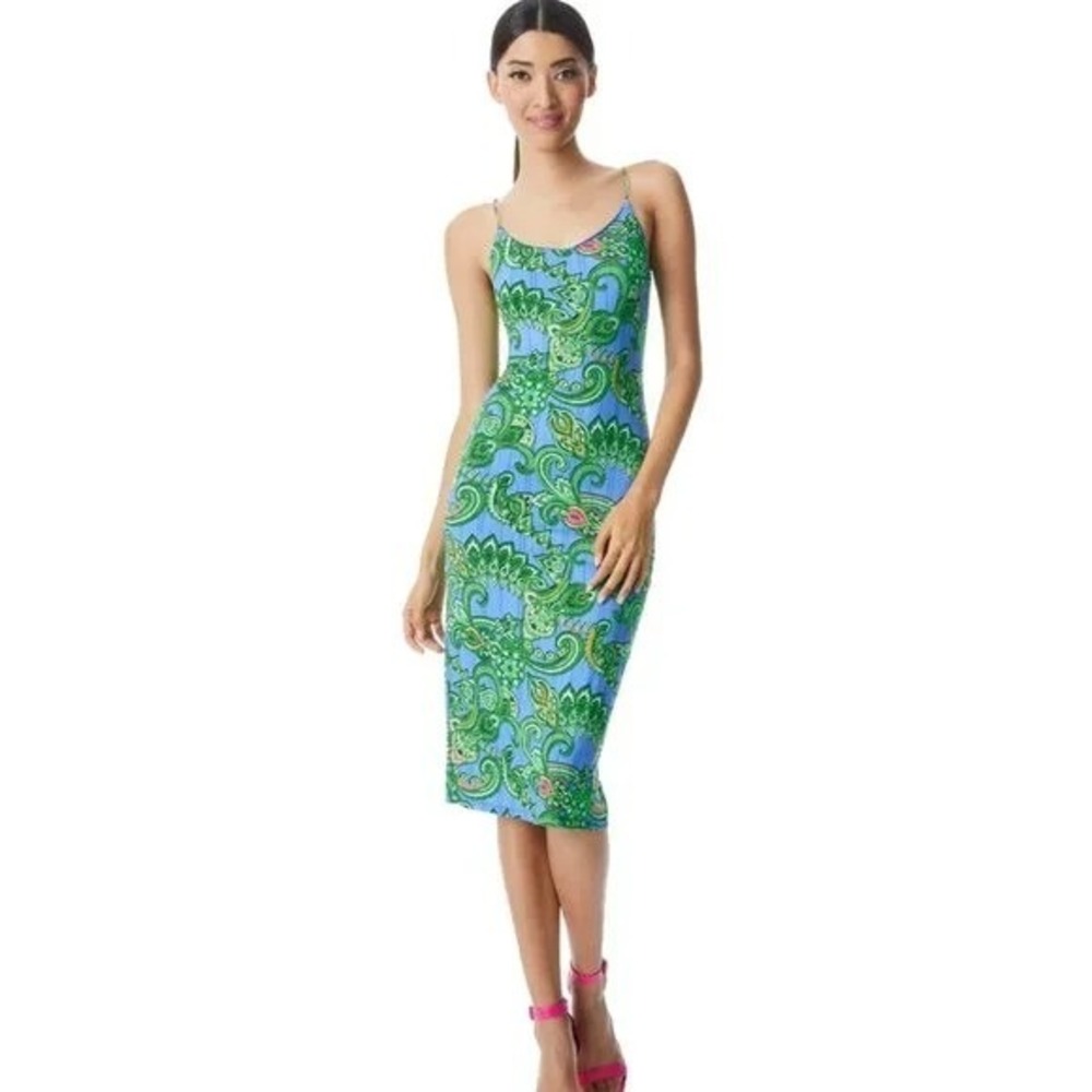 Alice + Olivia‎ Blue Green Spring Paisley Midi Slip Dress Size Small $350